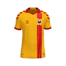 Sarı