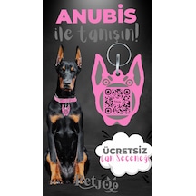 Petjoo 30.Anubis Gri-Pembe Qr'lı Köpek Künyesi