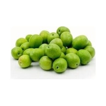 Zeytin Fidanı Gemlik Sofralık ve Yağlık