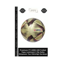 Premium Ft-1000-100 Futbol Topu Laminant 5 No Saha Ekipmanı Yaz Etkinliği Kardeşe Çok Renkli