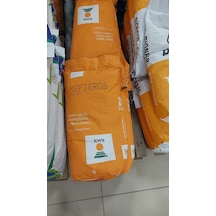 Kws Kefieros Slaj Mısır Tohumu 50000Adet