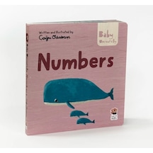 Sincap Kitap Numbers - Baby University First Concepts Stories 2