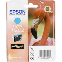 Epson T0872 C13T08724020 Mavi Kartuş R1900