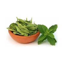 Şeker Otu Tohumu Stevia Tohumu 20 Adet Tohum + Tohum