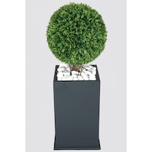 Yapay Çiçek Deposu Ahşap Saksıda Yapay Tek Top Şimşir Defne Ağaç 110 Cm