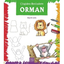 Çizgiden Resimlere - Orman - Rosa M. Curto - 1001 Çiçek