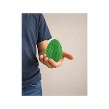 Alvera Dönüşen Ejderha Yumurtası 3d Baskı Twisty Fidget Oyuncağı-yeşil