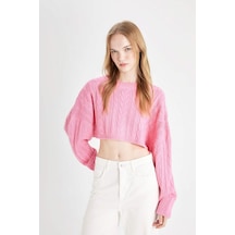 Defacto Coool Regular Fit Crop Bisiklet Yaka Saç Örgülü Triko Kazak T4518AZ24WNPN450 Pembe