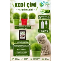 Kedi Çimi Yetiştirme Seti Saksı, Cocopeat Toprak Ve Buğday Tohumu %100 Doğal 3 Lü Kit