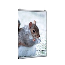 Poster Tutucu Clamp 100cm 10lu Paket
