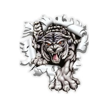 Kaplan Oto Araba Sticker Yapıştırması