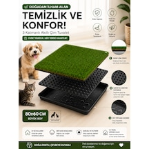 Premium Akıllı Çim Tuvaleti Kedi Ve Köpekler İçin 3 Katlı Yıkanabilir Büyük Boy 80x60