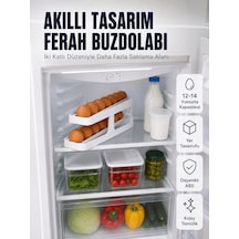 Çok Renkli