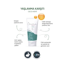 Centa Beauty Olgun Cilt Gece Kremi 50 ML