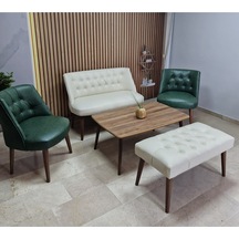 Azra Mobilya Deri Çay Seti Koltuk Takımı Oturma Grubu Cafe Mobilya Ofis-büro Mobilya Balkon Mobilya Krem-yeşil