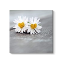 Falı Tablosu 60 X 60 -