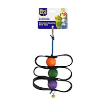Birdlife Derili Zig-Zag Küçük 12Li Paket