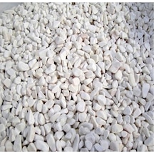 Dekoratif Beyaz Çakıl Taşı Küllük Teraryum Taşı 1650 Gr (384064006)