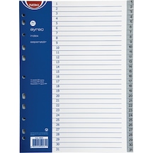 Noki Seperatör 1-31 Rakamlı Plastik A4 59231 Çok Renkli