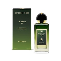 Icarus 967 Extrait Edp 100 Ml Diğer