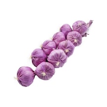 Rüzgar Yapay Çiçekçilik 45 Cm Mor Soğan Mor