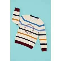 U.s. Polo Assn. Erkek Çocuk Kazak /triko 50311062-vr256 İnci