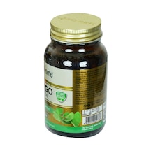 Shiffa Home Ginkgo Biloba Diyet Takviyesi 620 Mg X 60 Kapsül