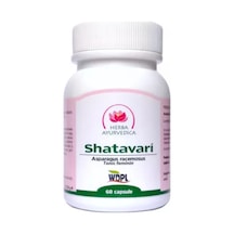 Shatavari Asparagus Racemosus 60 Kapsül Kadın Sağlığı Ve Hormon Desteği