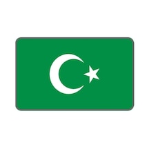 Cg Şeffaf Yeşil Bayrak Far Filmi Standart