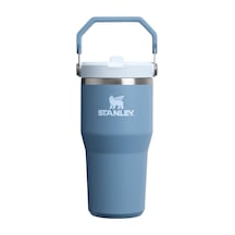 Stanley The Iceflow Flip Straw Pipetli Termos Bardak 0,60 Lt-10-1 Çok Renkli