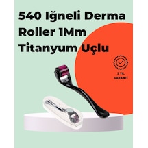 Titanyum İğneli Derma Roller Evde Cilt Bakımı İçin Uygun Mh-hs6946-8584