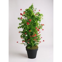 Yapay Çiçek Siyah Saksıda Kırmızı Lotuslu Yeşil Şimşir Ağacı 70 30cm Kırmızı