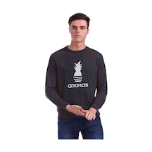 Silhouette Ananas Parody Logo Baskılı Füme Erkek Örme Sweatshirt