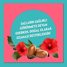 Doğanın Enerjisi Onarıcı Süper Saç Bakım Kremi Argan Yağı Ve Hibiskus Özü Dökülme Karşıtı Ve Güçlü Uzamayı Destekleyici 170 Ml