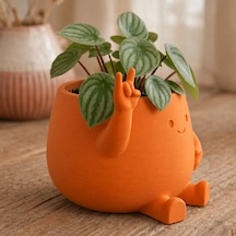 Bezos 3d Baskı Smiley Face Planter - Gülümseyen Karakterli Saksı-turuncu Mbt06 Standart