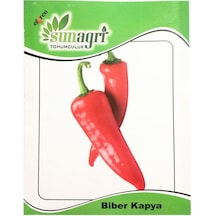 Salçalık Yağlık Kapya Biber Tohumu 10 GR