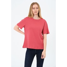 Kadın Bisiklet Yaka Kısa Kollu Basic T-shirt - İnterlok Kumaş Çok Renkli