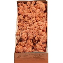 Reindeer Moss Mango Şoklanmış Norveç Yosunu 250gr