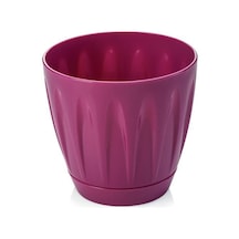 Omnipazar So-p002 Papatya Saksı Takım 1,5 Litre No 2
