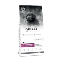 Molly Kuzulu & Yaban Mersinli Orta ve Büyük Irk Yavru Köpek Maması 15 KG