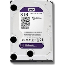 River World 3.5 8 Tb 7200 Rpm Hdd
