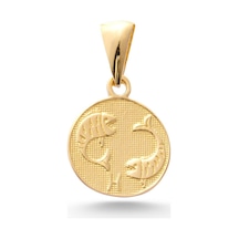 Sefa Gold 14 Ayar Altın Balık Burcu Kolye Ucusfklu025