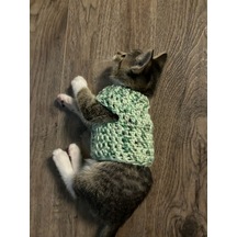 Busako Cat Özel Tasarım Kedi Kıyafeti