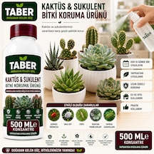 Taber Kaktüs & Sukulent Bitki Bakım Ürünü 500 Ml Konsantre Kaktüs Ve Sukulentler İçin Yapraktan Uygulama Diğer
