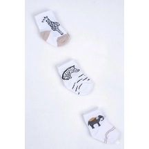 Cocole Socks Erkek Çocuk Soket Çorabı 3 Lü Set Pamuklu Safari & Hayvan Figürü Desenli Çok Renkli