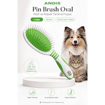 Andis Pin Brush Oval Kedi Ve Köpekler İçin Hassas Tarama Fırçası Medium