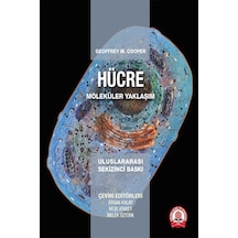 Hücre Moleküler Yaklaşım