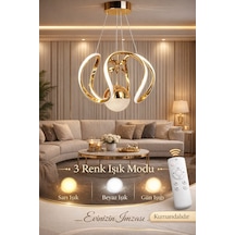 Riko Tek Toplu Led Avize 3 Renk Led Isıklı Kumandalı Modern Avize Salon Avize Gold