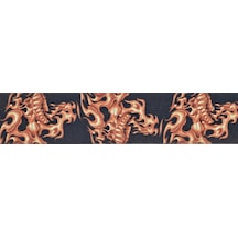 Planetwaves 50Lt01
