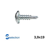 3.9 x  19